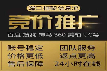 百度竞价排名案例分享：广告投放的技巧与误区
